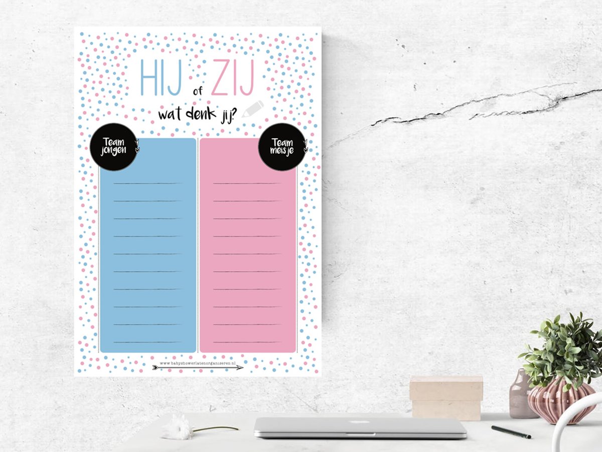 Hij of Zij poster Gender Reveal Party of Babyshower | Raden maar: jongen of meisje | A3 Poster geslachtsonthulling baby | Spel